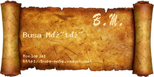 Busa Máté névjegykártya